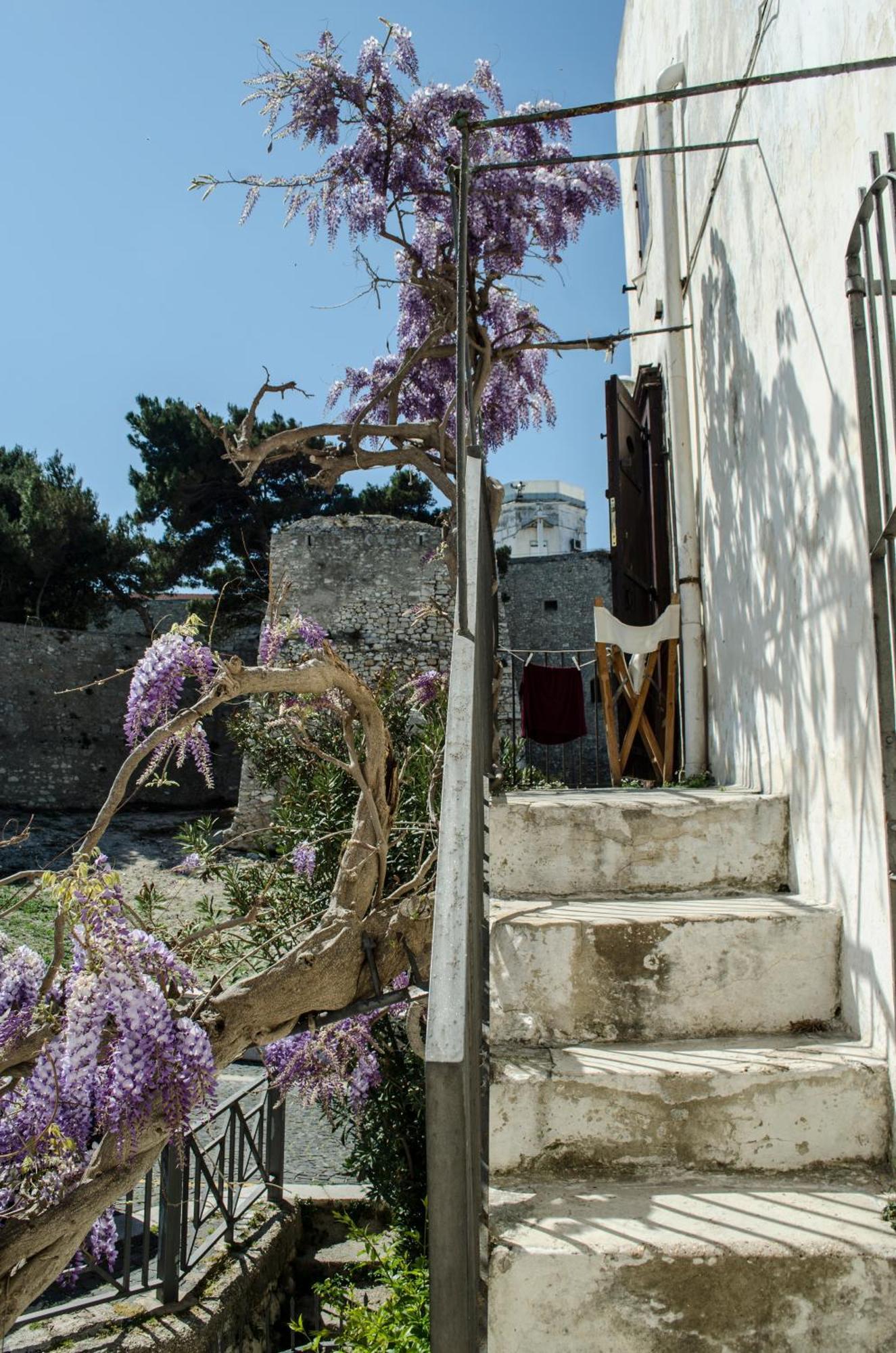 Torre La Mezzaluna Bed & Breakfast Vieste Exterior photo